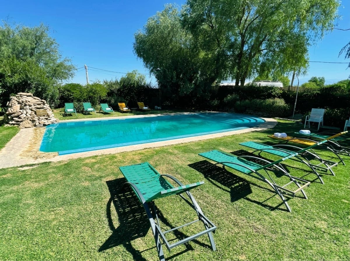 Pileta y solárium de Hotel Taymenta