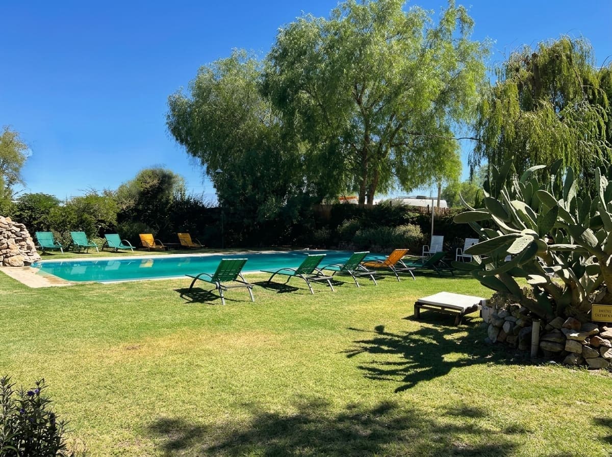 Pileta, parque y cactus de Hotel Taymenta