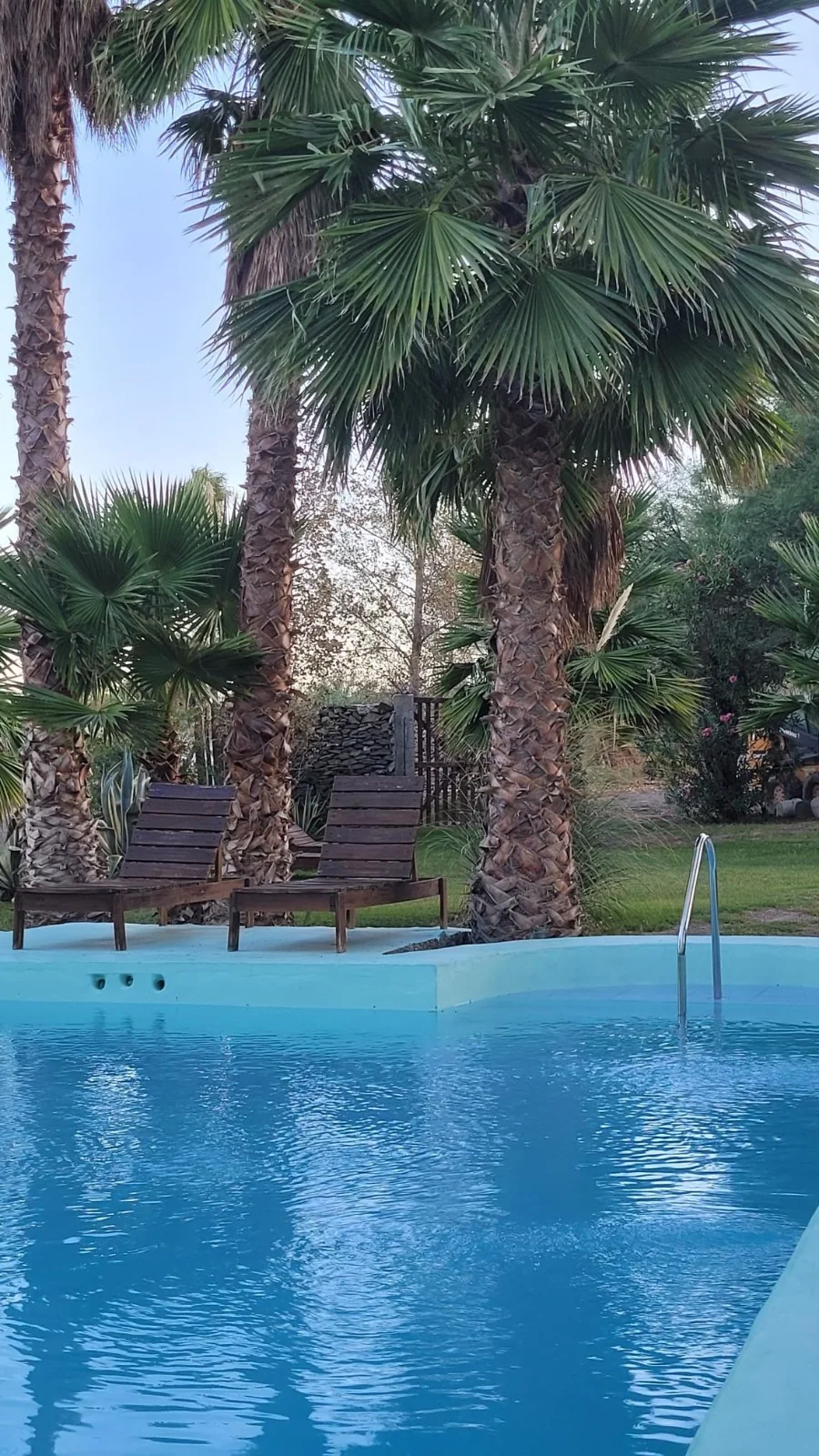 Pileta rodeada de palmeras y jardín en La Huella Jáchal